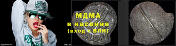 индика Богородицк